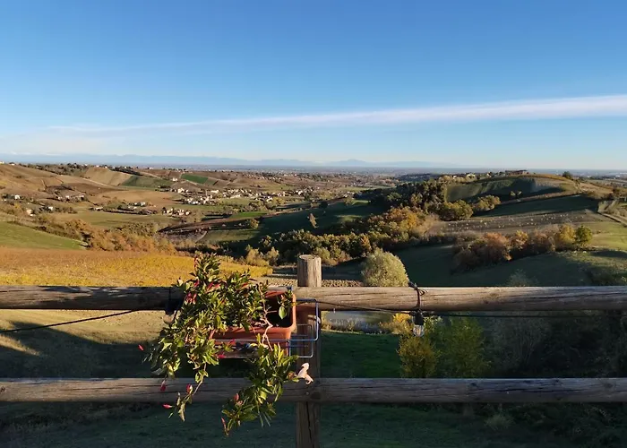 Cantina Visconti - Agriturismo