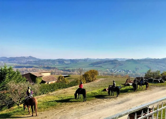 Cantina Visconti - Agriturismo