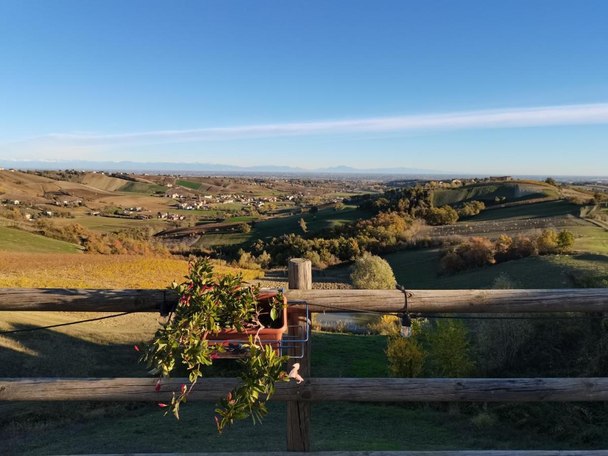 Cantina Visconti - Bauernhof Vigoleno