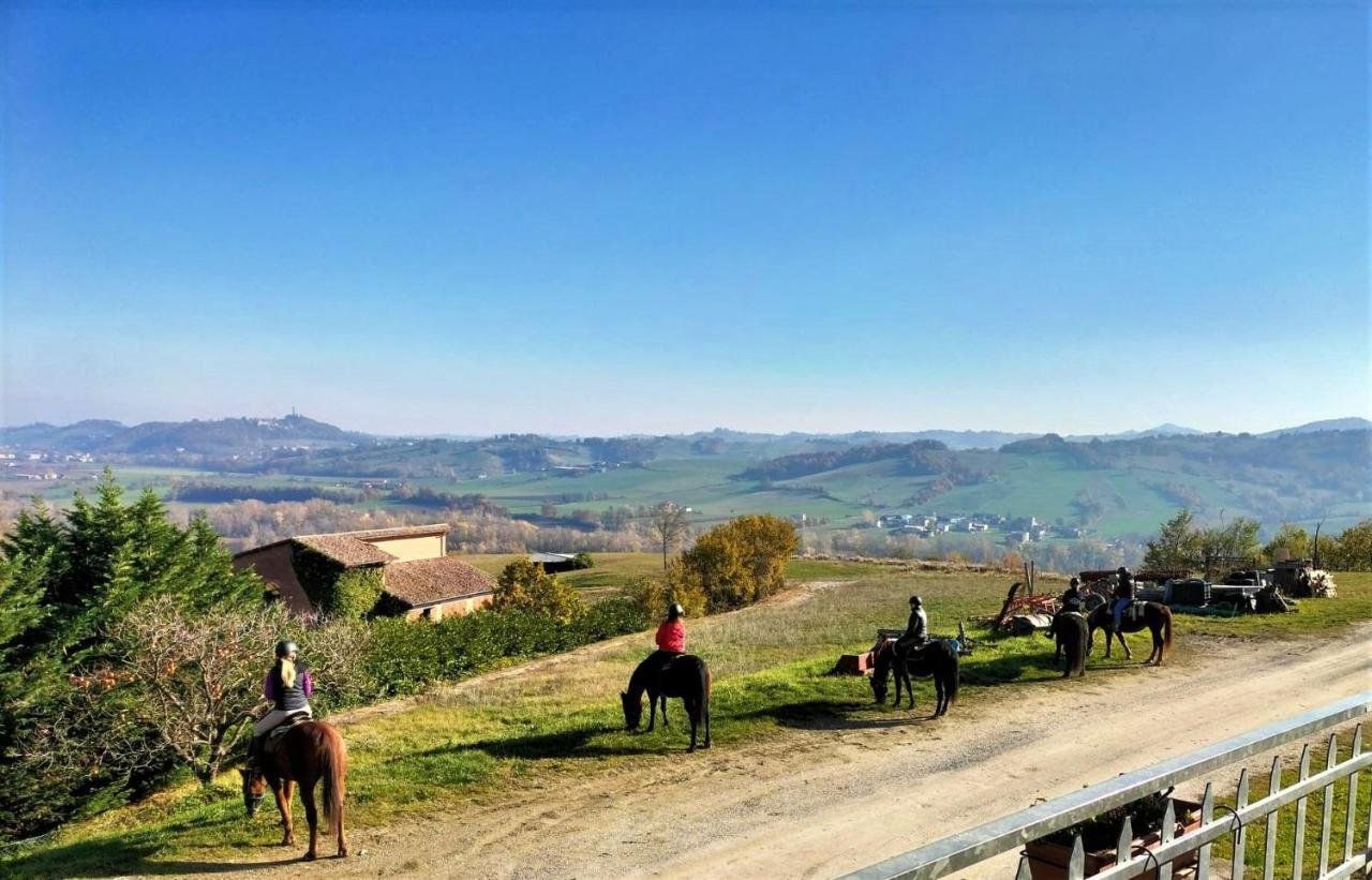 Cantina Visconti - *